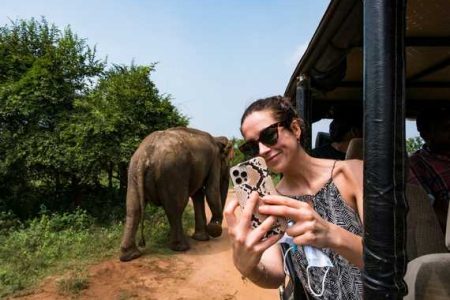 Safari in Yala National Park