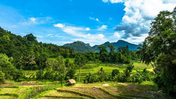 Day 4: Nuwara Eliya – Ella  